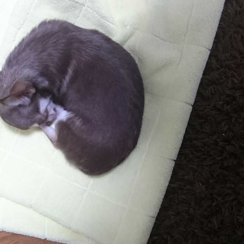 やま