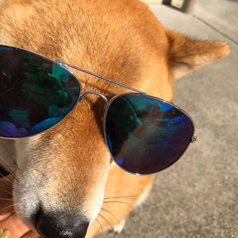 内山　清心