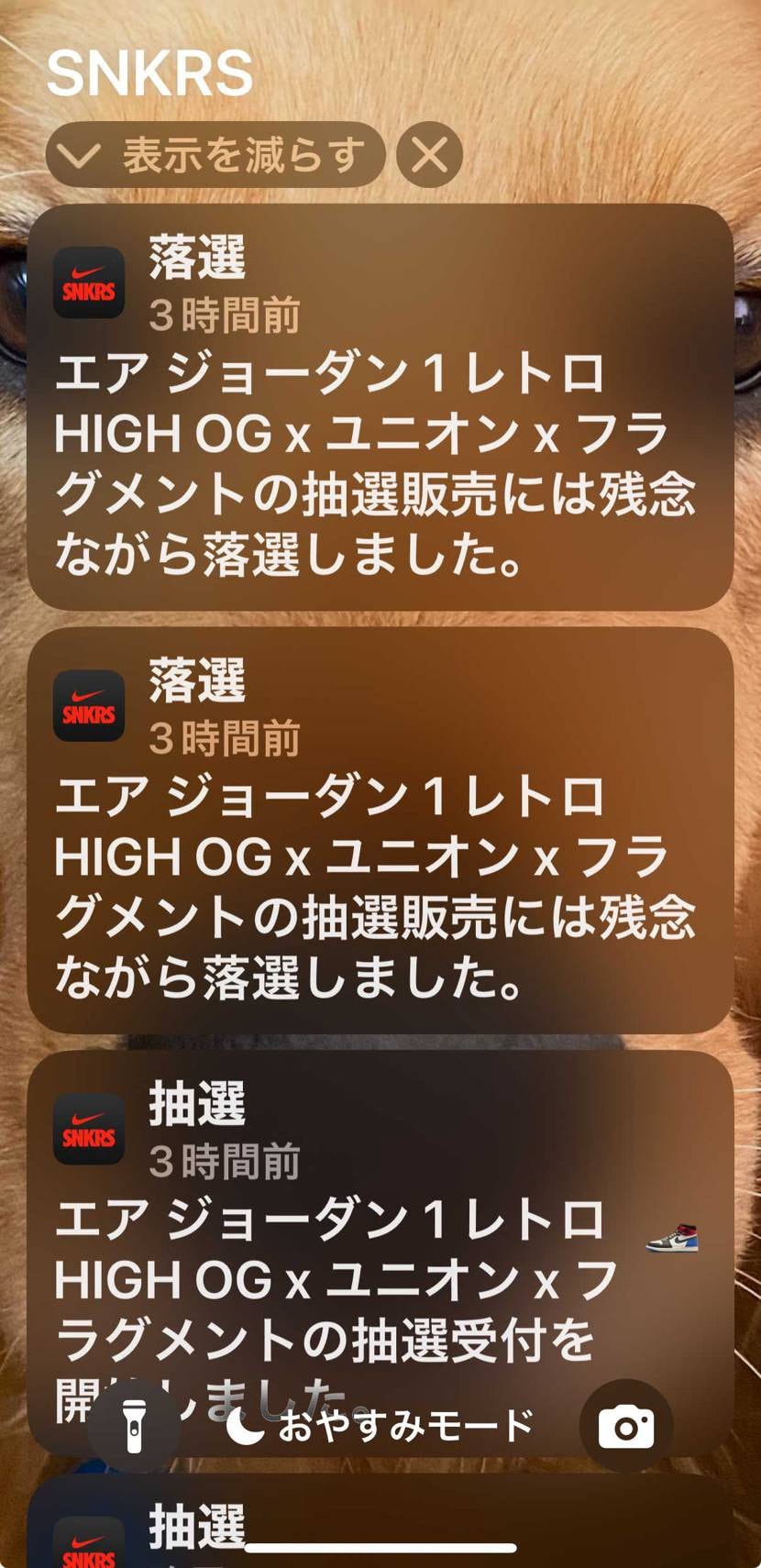 ユニオン公式でかえましたが、二足目も欲しくなり応募。

前日にギフトカードも