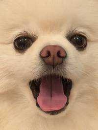 りょう