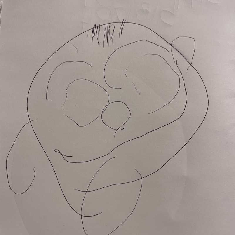 ボンチョピ(出品者)