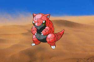 Groudon Jr.(出品者)
