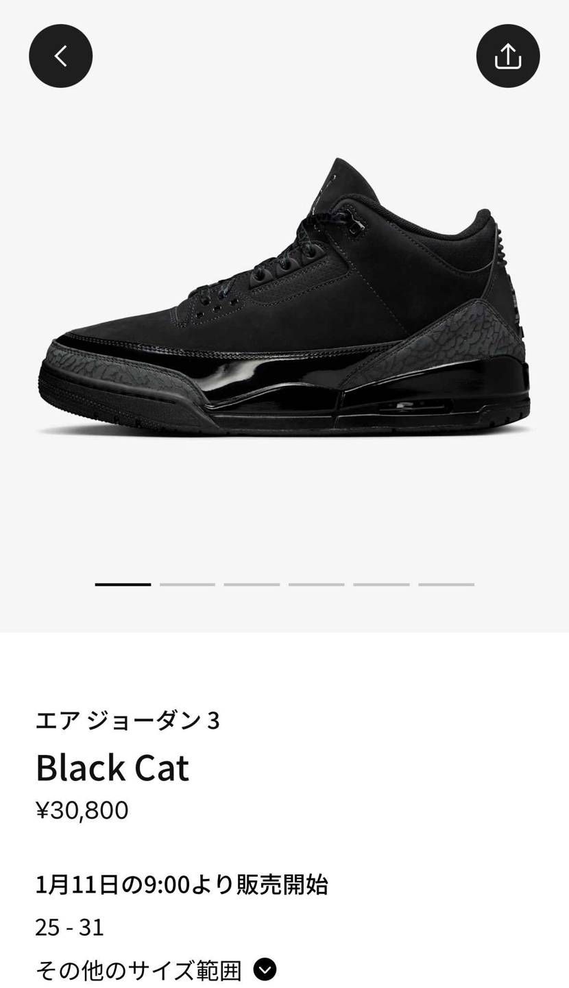 ※私の勉強不足、認識不足です。
投稿は振り返り用に残しております。
SNKR