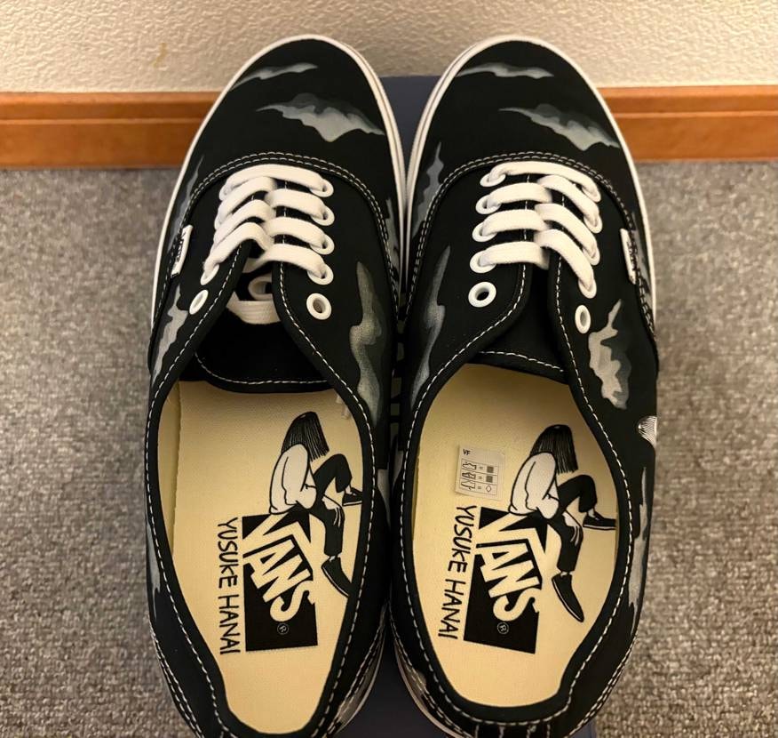 届きました！
派手派手しい柄ではないので履きやすそうです。