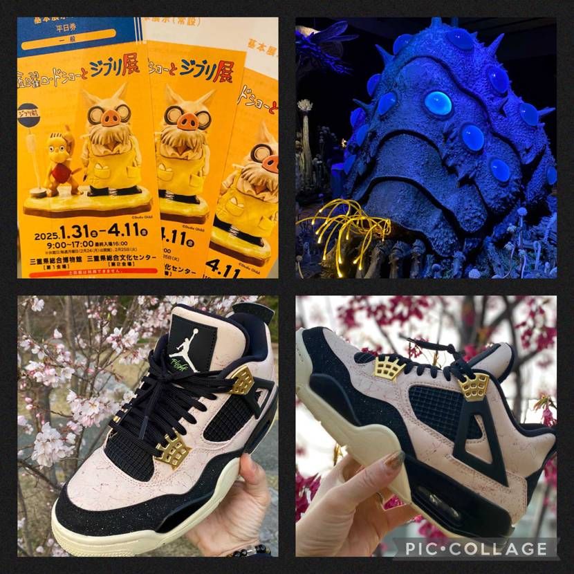 今日も暖かくて良い1日でしたね🌝✨
こんばんはです🙌
