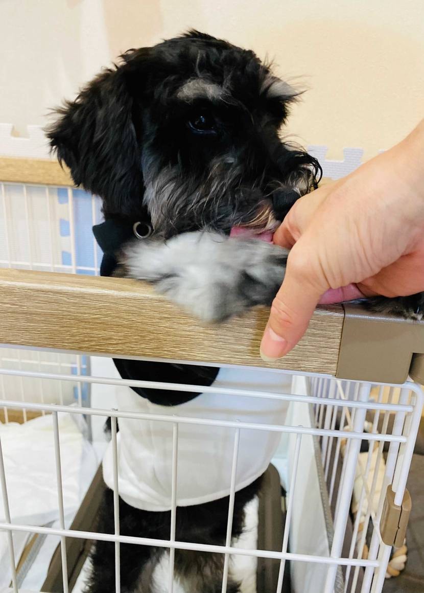 昨日仕事で本日からお休み頂き何事もなくすぎた1日🌝
こんば