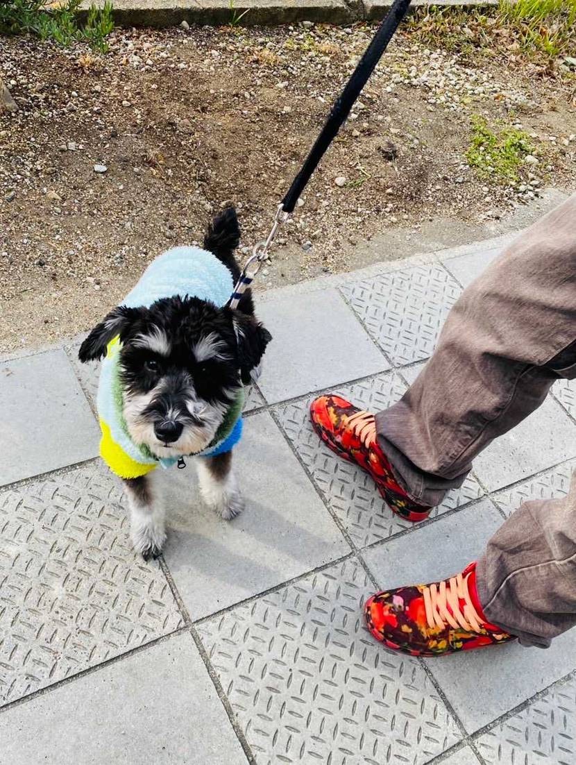 今日はお休みいただきダラダラ過ごした良い日でした😎☝️
あ