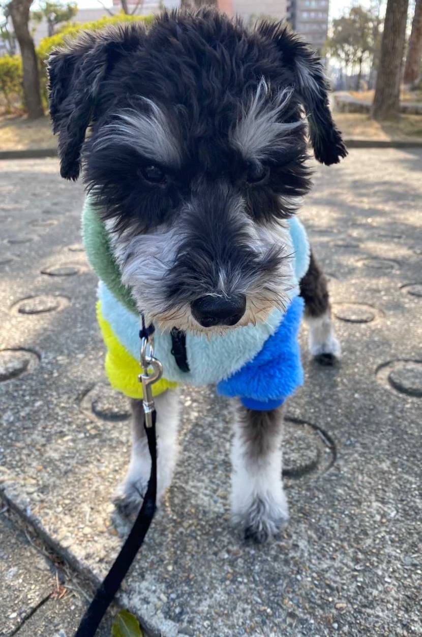 今日はお休みいただきダラダラ過ごした良い日でした😎☝️
あ