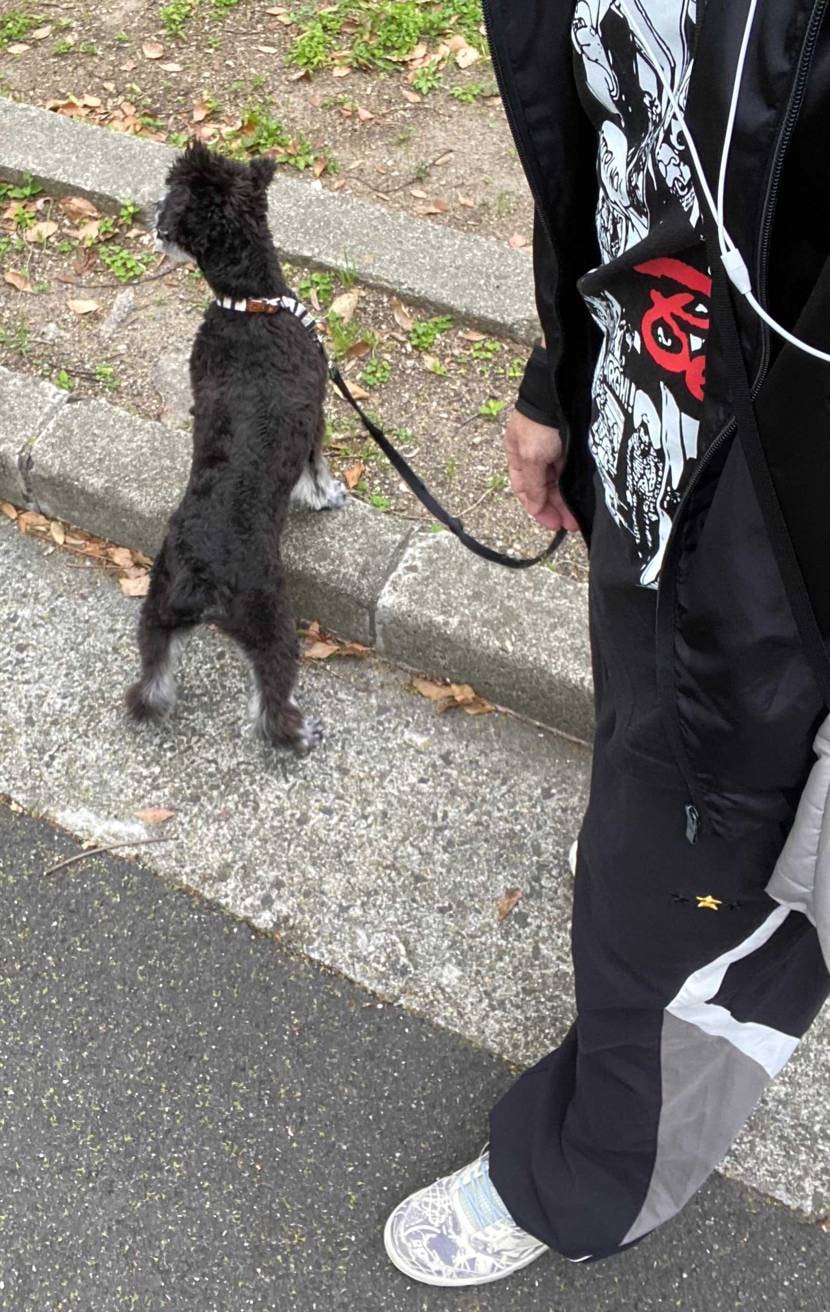 今日は⛅️でパッとしない1日でした🙄☝️
🪢洗う間に、ちょ