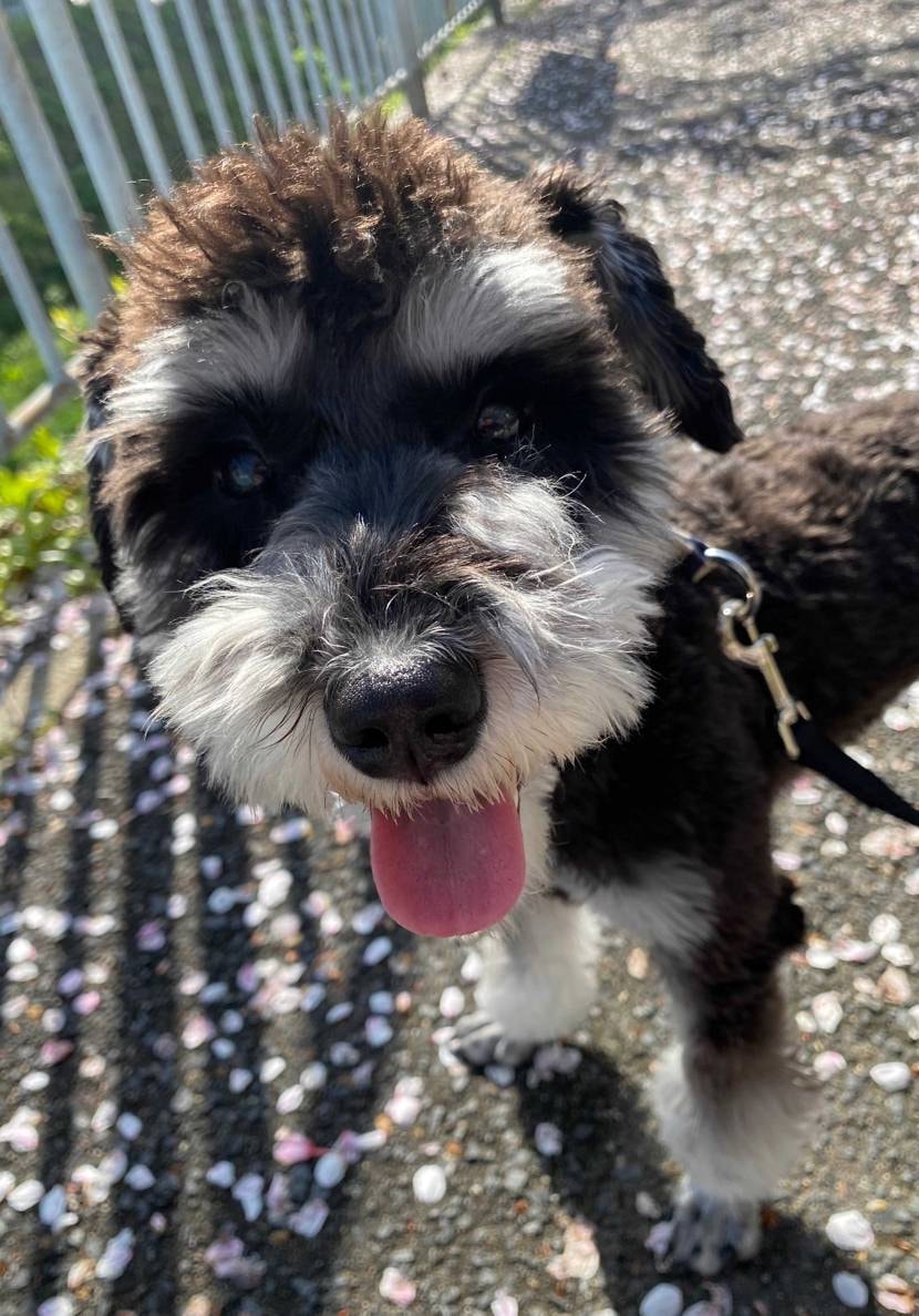 今日は晴天☀️ということで、やっと履けました🥰👍
ご無沙汰