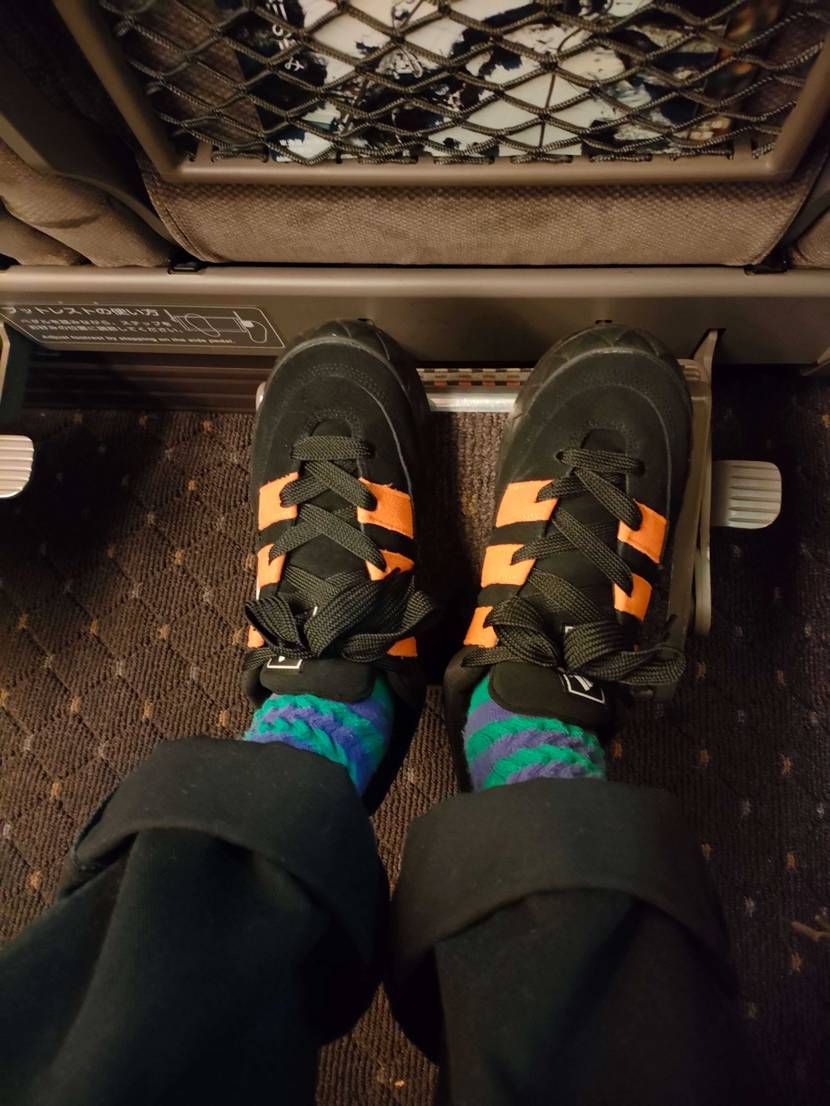 今日の東京旅のお供👟
