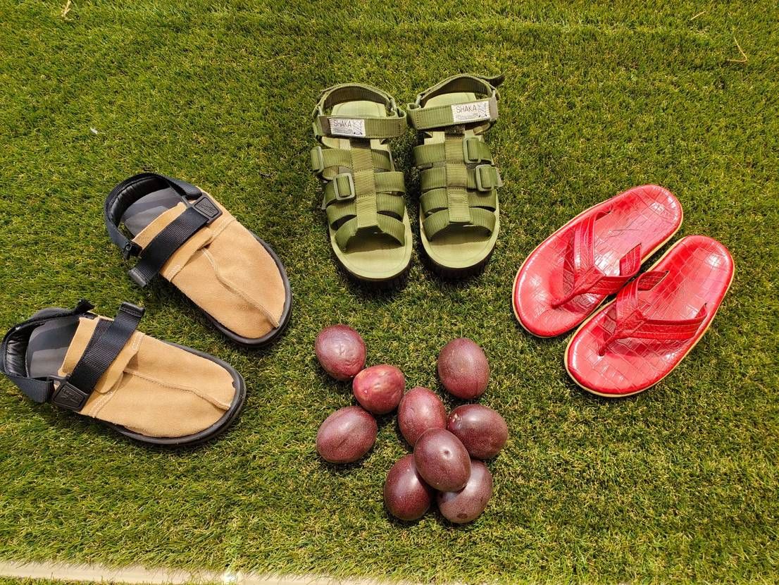 梅雨入りしたばかりですが嫁の実家より今年初のパッションフルーツが届きました✌️😊