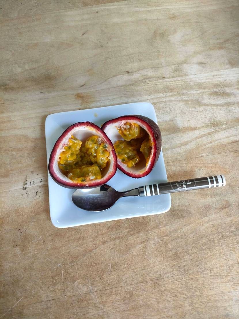 梅雨入りしたばかりですが嫁の実家より今年初のパッションフルー