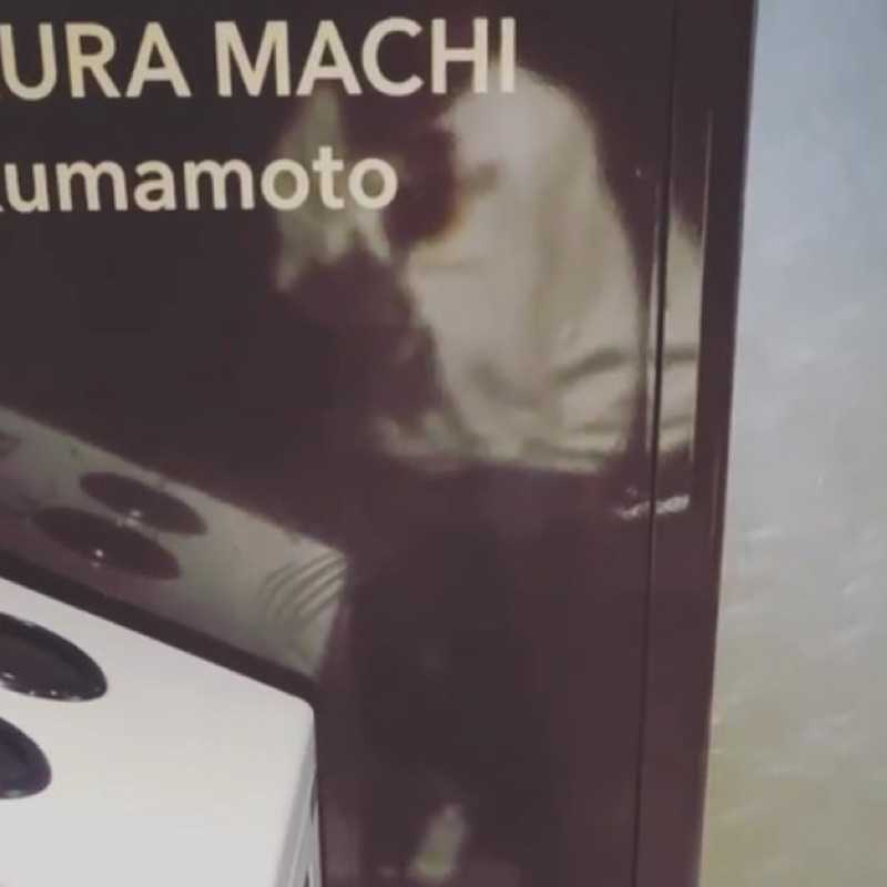 いっさ