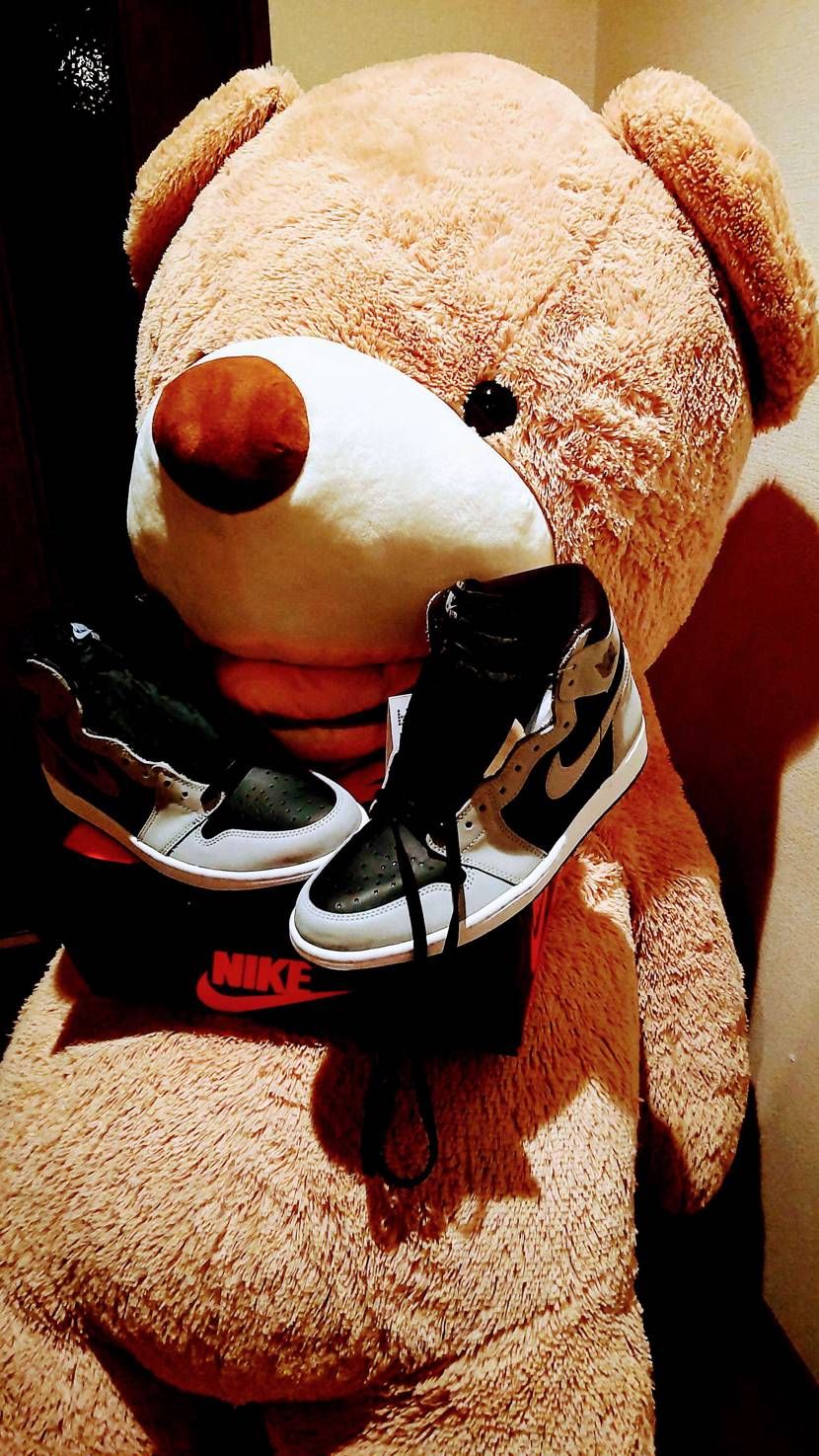 疲れて家に帰ったら癒やしてくれる子達が待ってた❗
最っ高ヤン💃🎶