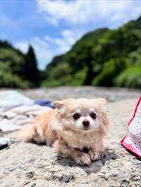 ぎん