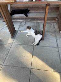 まさ