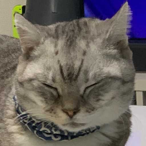 HGMA