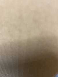 pi0938