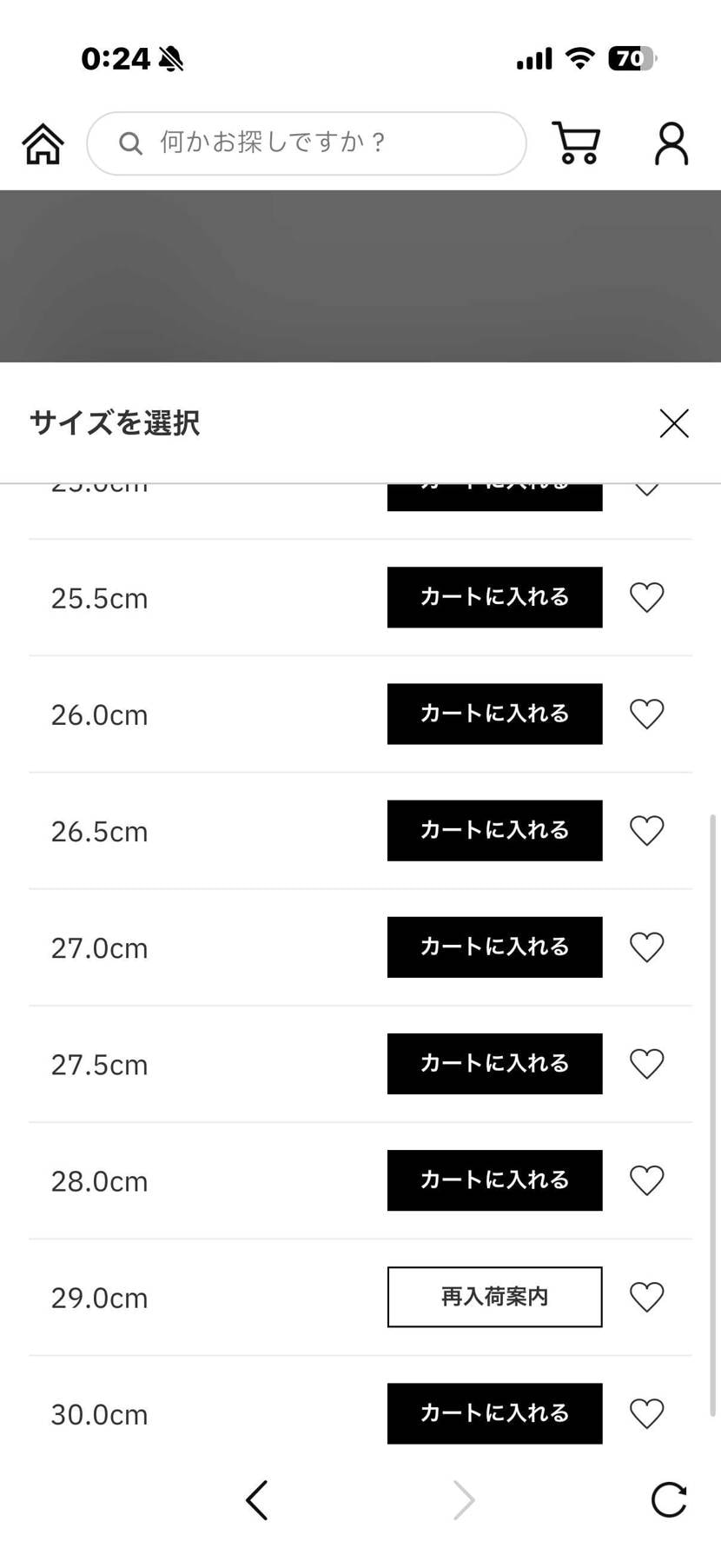 抽選外れたから在庫確認したらあってびっくらぽん🫨笑
コイン