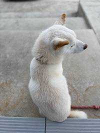 ユーザーアイコン