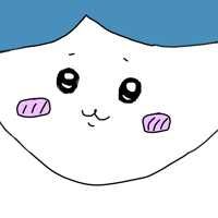 ハチワレ(出品者)