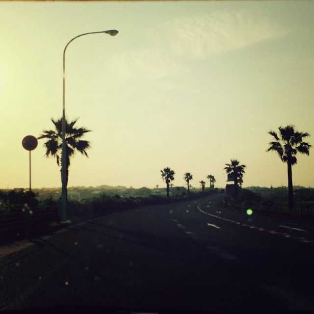 ユーザーアイコン