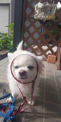 とーや