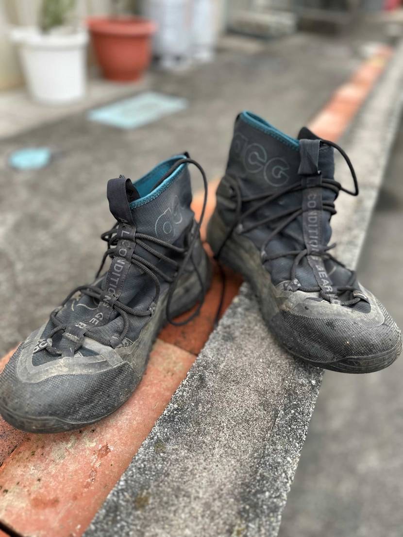 最近の低山系登山はほぼこれで十分事足りる。全然疲れないし、結構くだりもいい感じに