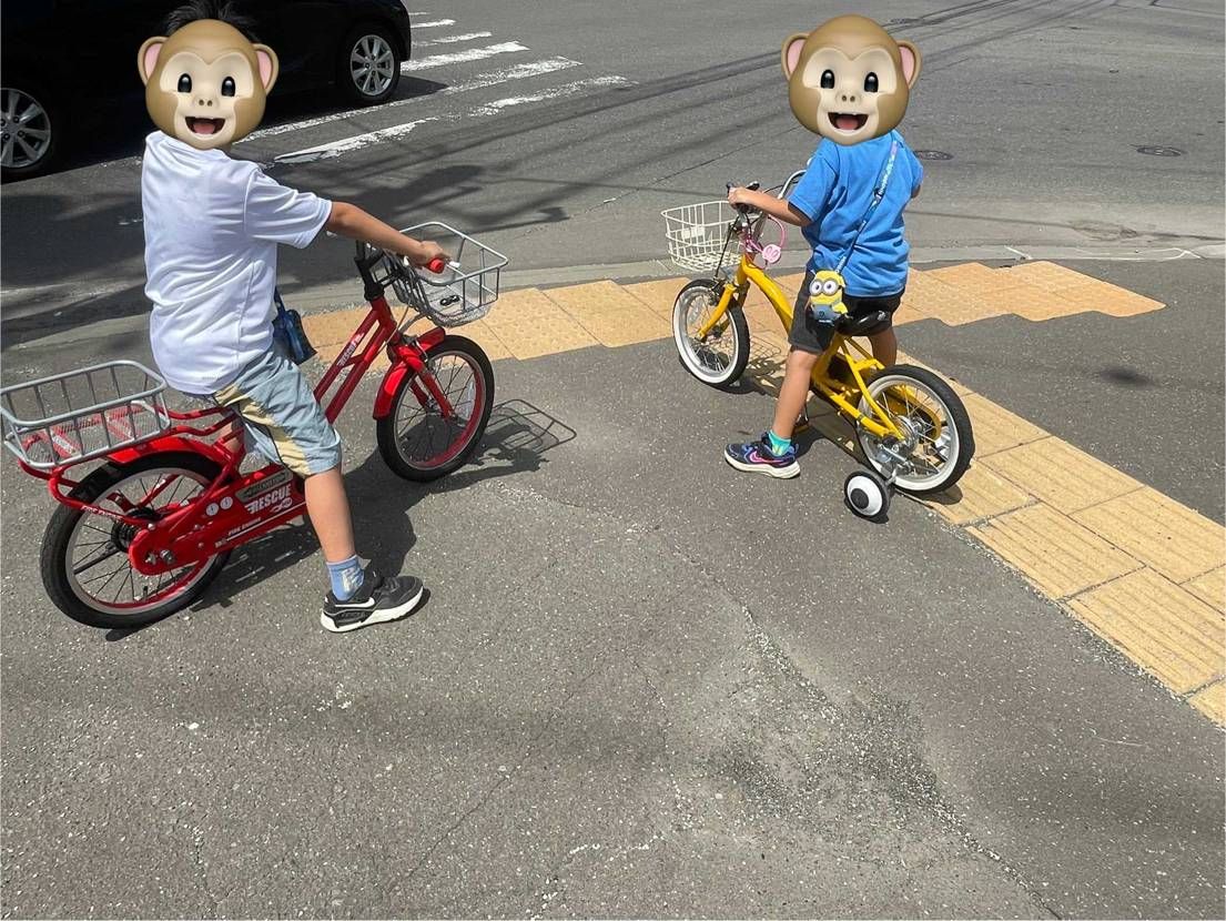今日は天気がいいので、パラ気分です🦙

息子が急にポケモ