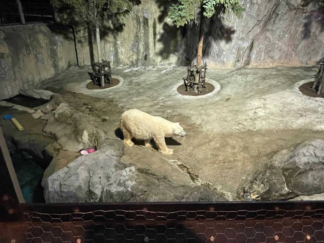 お墓参り🦙
昨日は朝7:30に出発し、お墓参りやら親戚