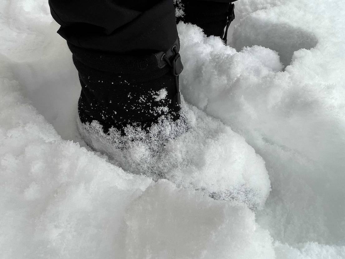 今年初投稿🦙

朝起きると雪がものすごく降ってたため、本