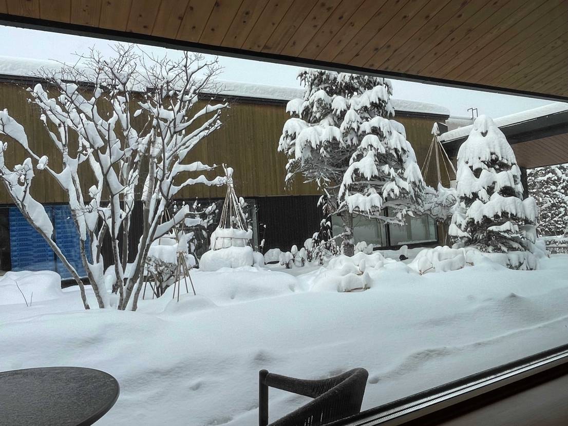 今年初投稿🦙

朝起きると雪がものすごく降ってたため、本