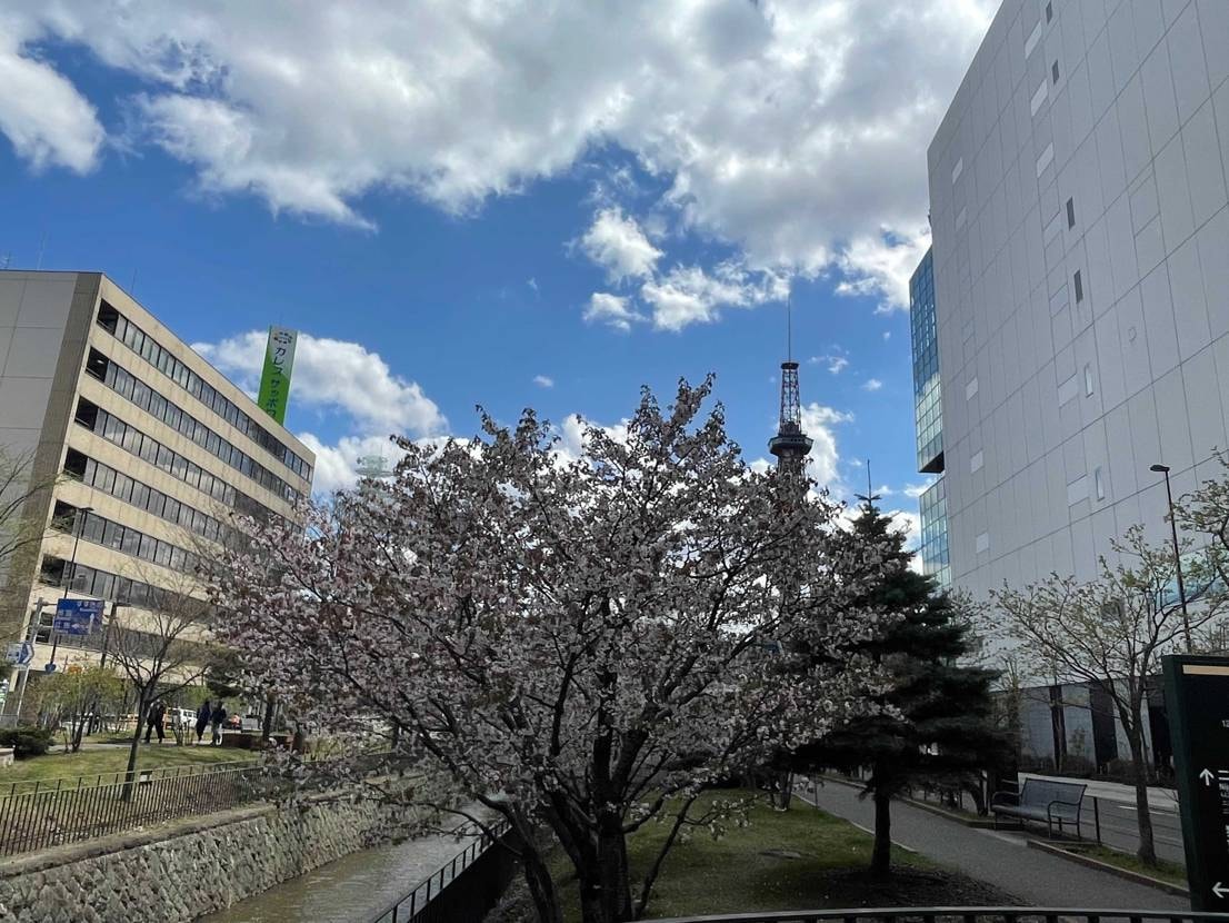 本日の午後🦙

次男のサッカースクールに来ました⚽️
