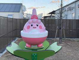 たぬき