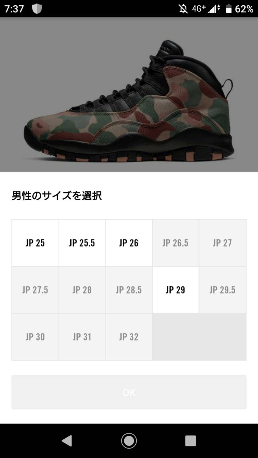 🐿️来てますね