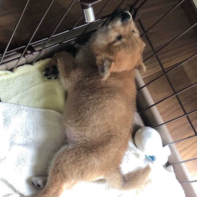 おた(出品者)