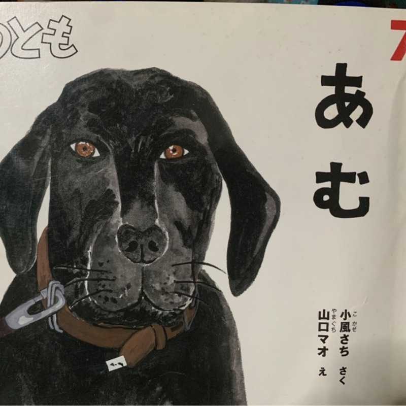 Ämü