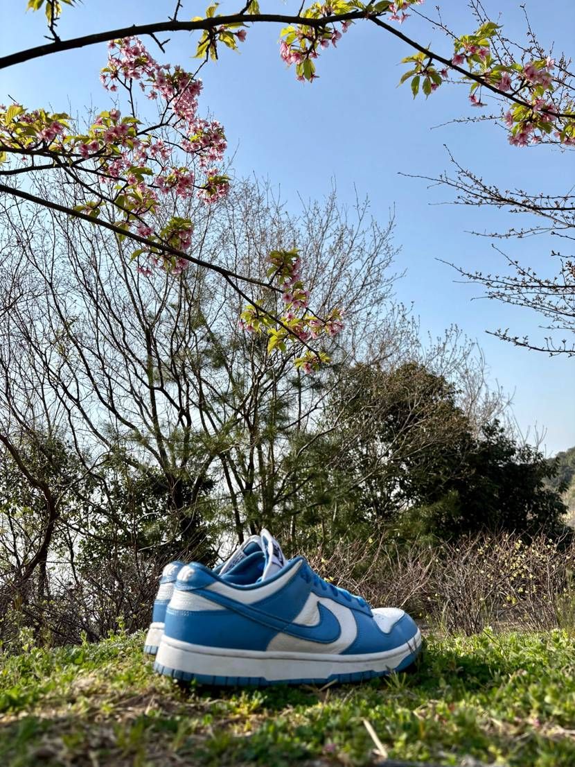 お久しぶりの投稿です
皆さん如何お過ごしでしょうか
今日は少し早めの春を感じ