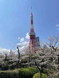 東京タワー