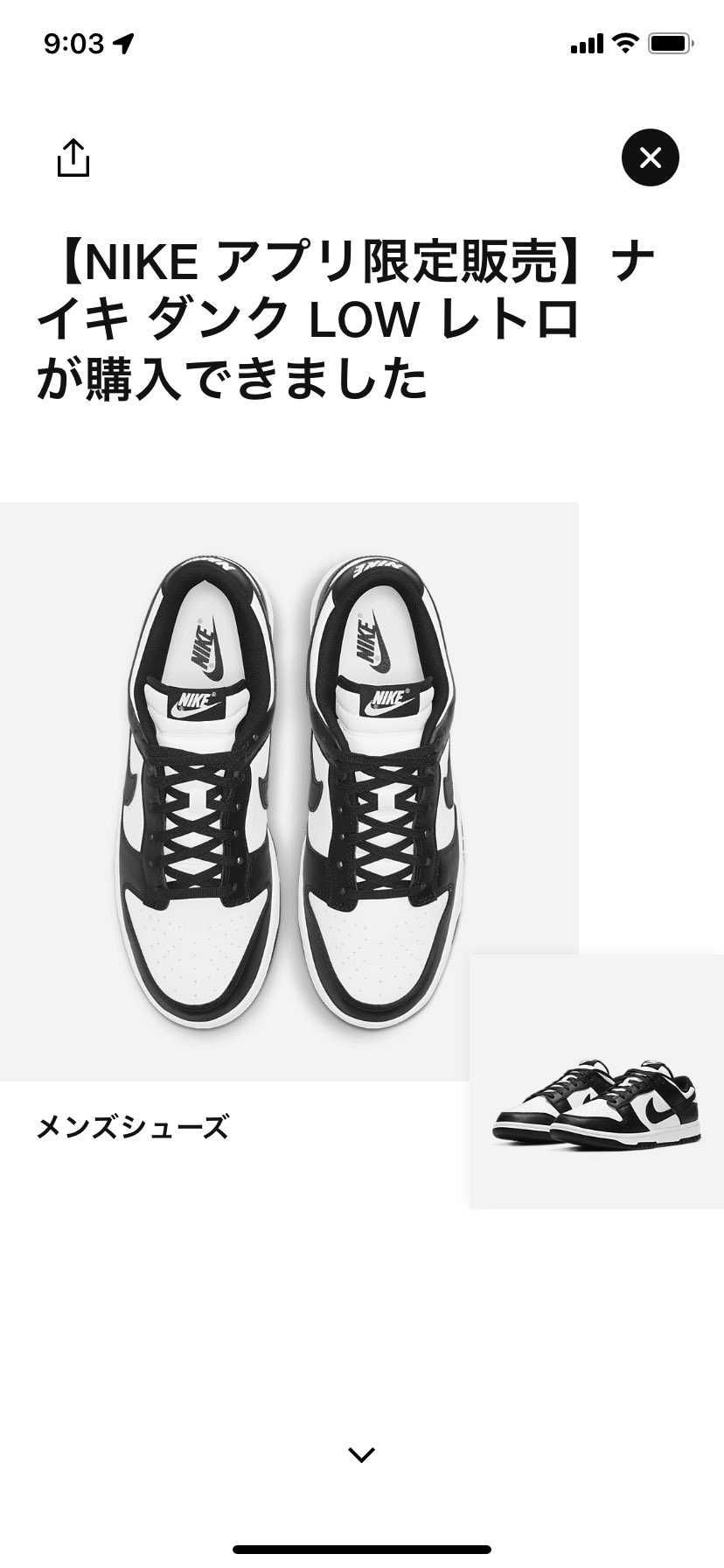 wmns含めて累計3足目🐼