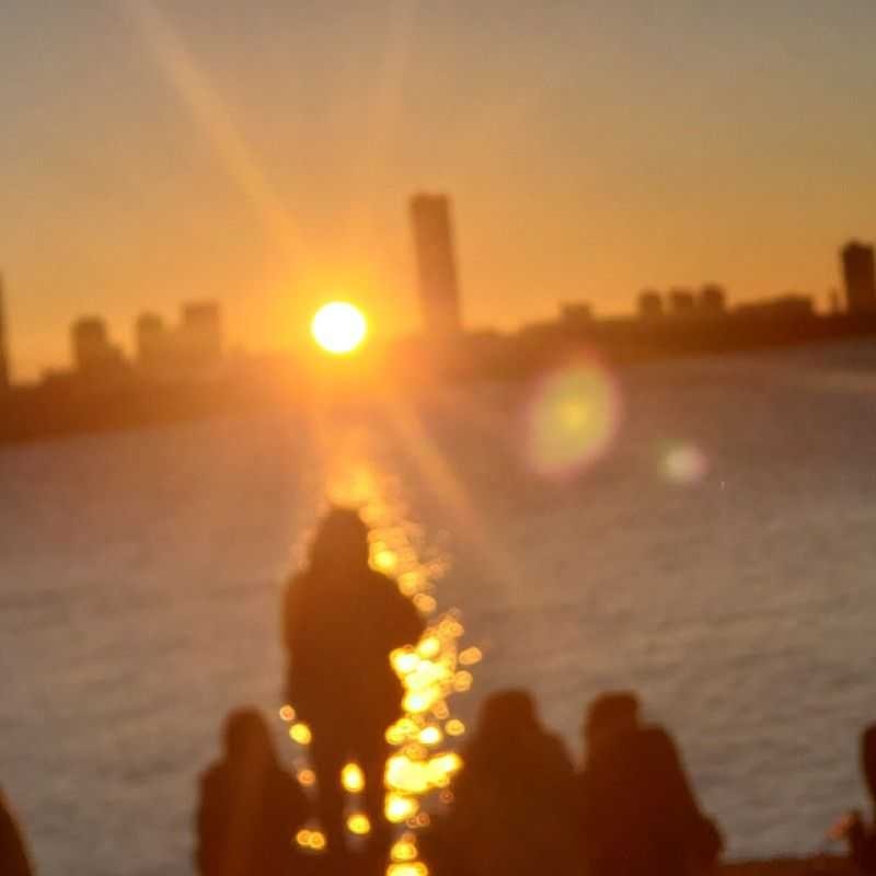 陽