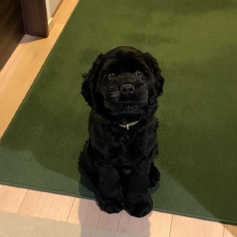 大輔
