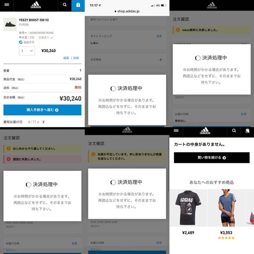 ログイン成功に歓喜→決済ポチって歓喜→長くて不安になり→tokenがどーので??