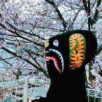 ももざわ(出品者)