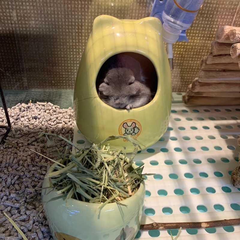 まかろん