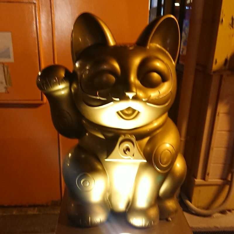 shibata.M
