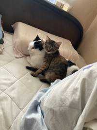 りょーたろー