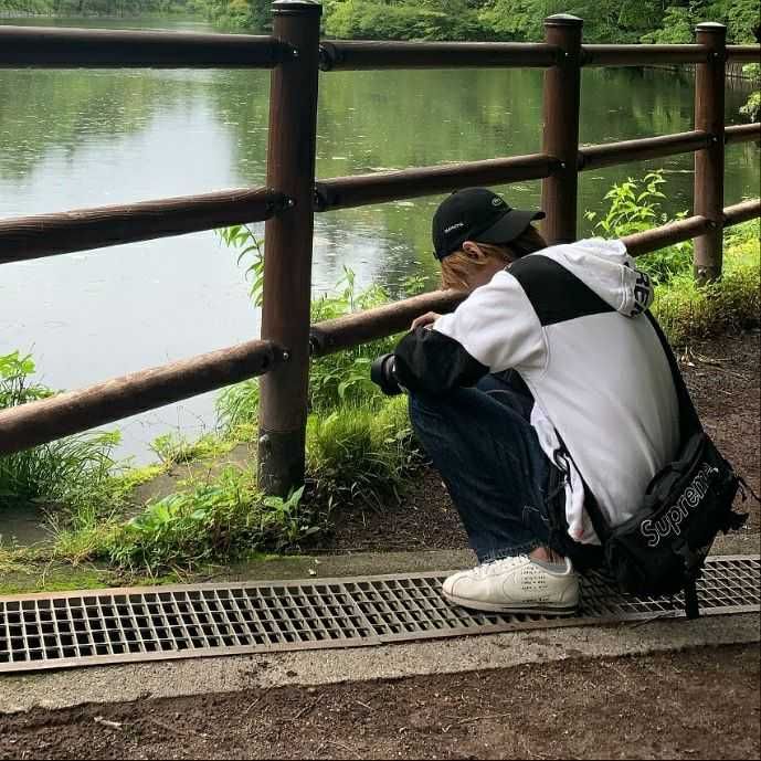 kaisei