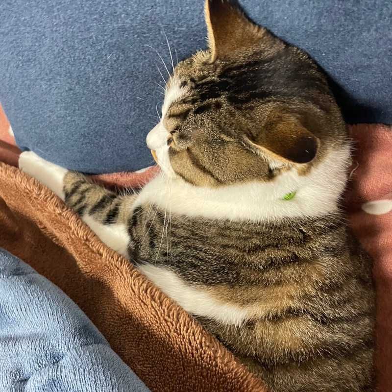 ひろむ